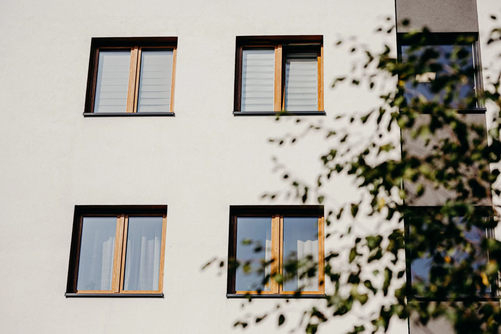 Okna PVC ABM Jędraszek