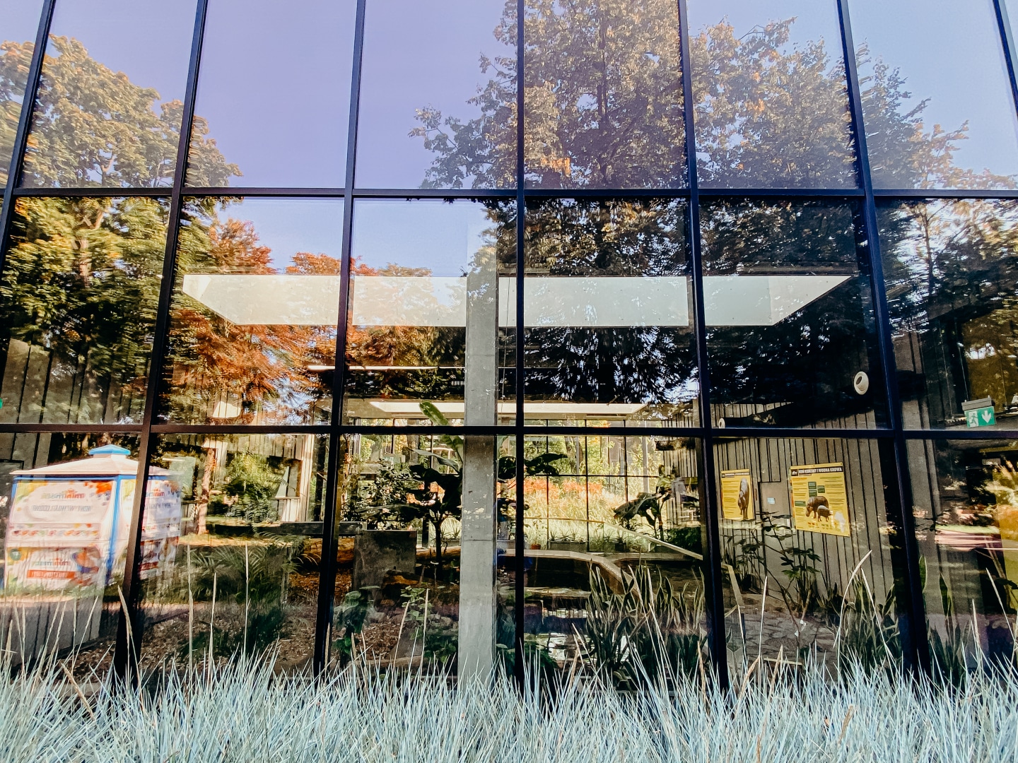 Realizacja ABM - Nowoczesny dom z dużymi przeszkleniami