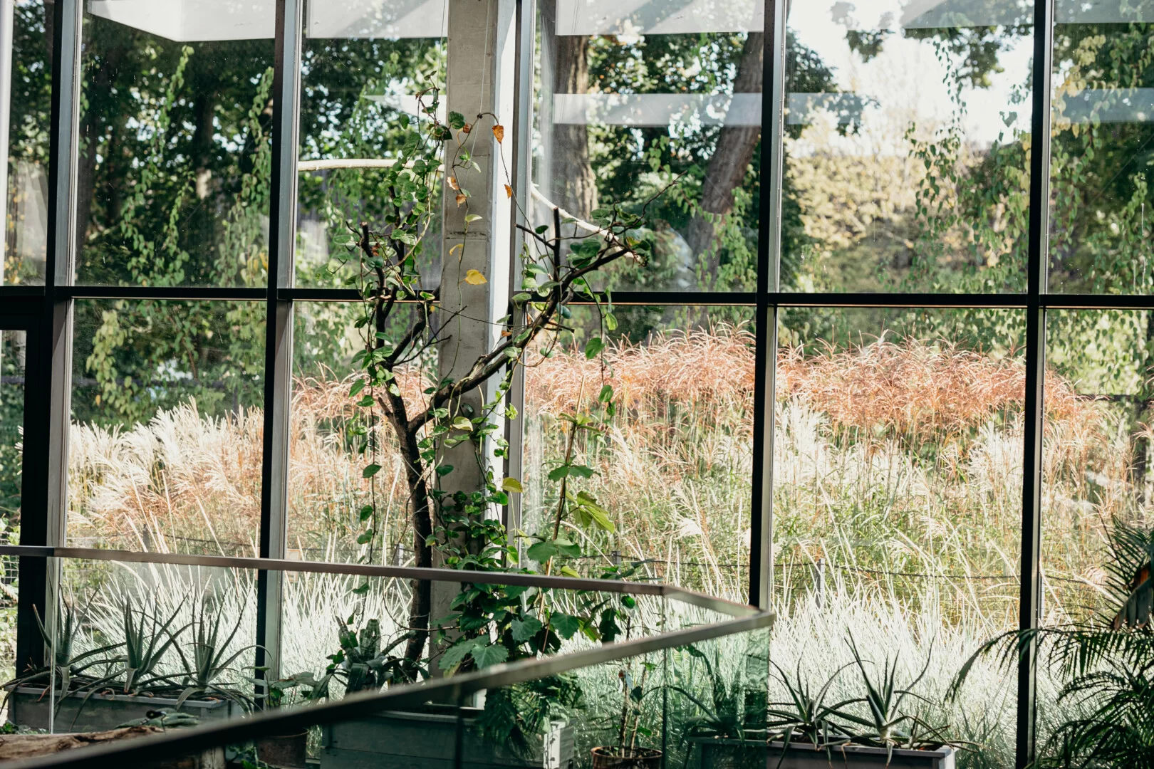 Realizacja ABM - Kompleksowa stolarka